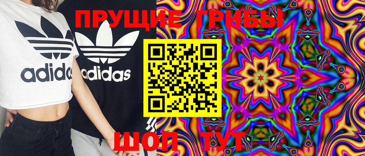 Псилоцибиновые грибы GOLDEN TEACHER Шумерля