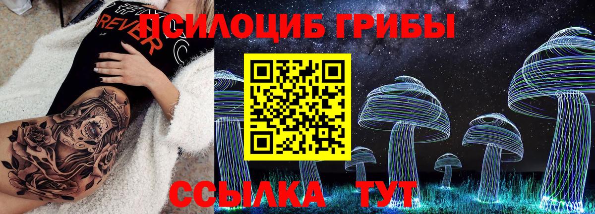 Псилоцибиновые грибы Magic Shrooms  цены наркотик  Шумерля  Вход с VPN  Галлюциногенные грибы Psilocybine cubensis 